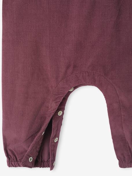 Babypakje in fluweel / velours met geborduurde en geplooide kraag aubergine - vertbaudet enfant 