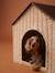 Niche et panier Maisonnette pour chat et chien beige - vertbaudet enfant 