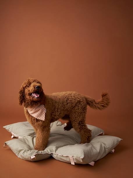 2-in-1 autotransportzak voor huisdieren FAMILY groen, gestreept - vertbaudet enfant 