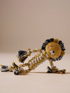 -Jouet à mordiller en corde pour chien