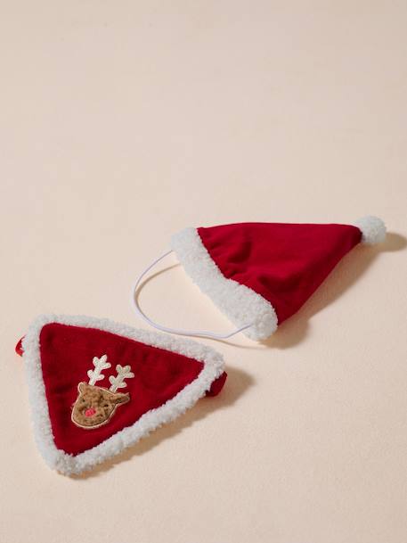 Collier bandana + bonnet de Noël pour chien rouge - vertbaudet enfant 