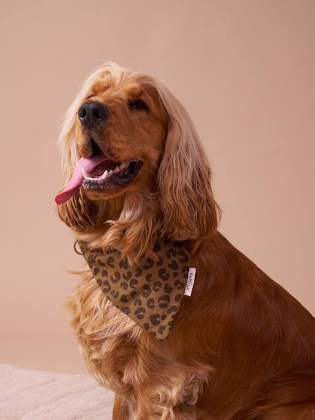 Bandana voor honden FAMILY bruin, bedrukt - vertbaudet enfant 