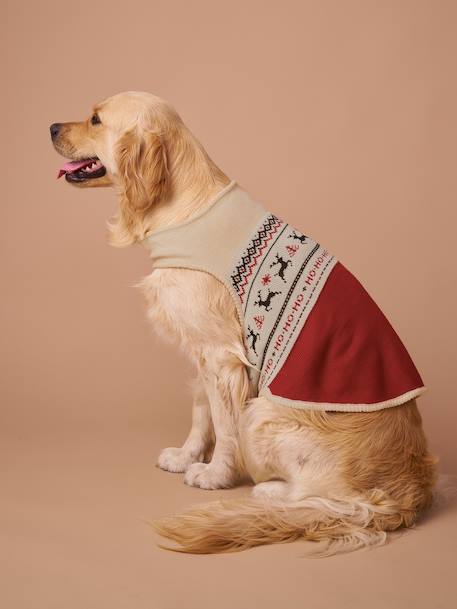 Kersttrui voor hond FAMILY rood - vertbaudet enfant 