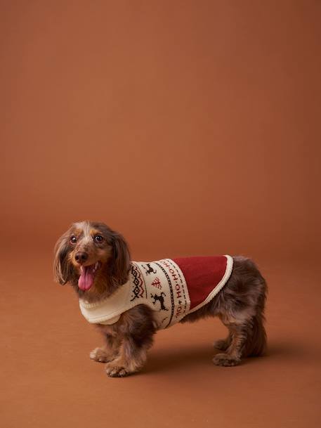 Kersttrui voor hond FAMILY rood - vertbaudet enfant 