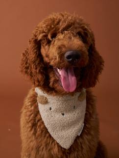 -Collier bandana pour chien