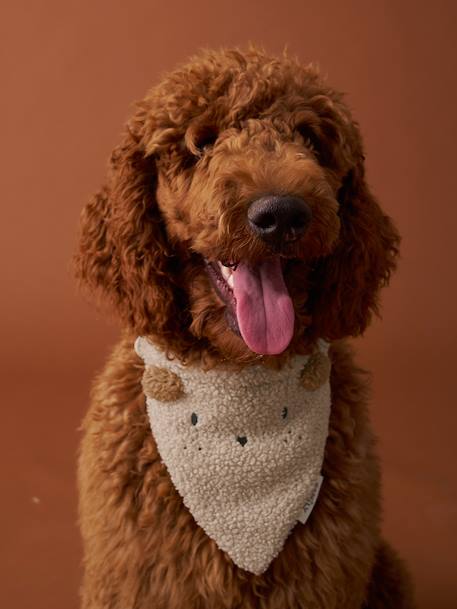 Collier bandana pour chien écru - vertbaudet enfant 