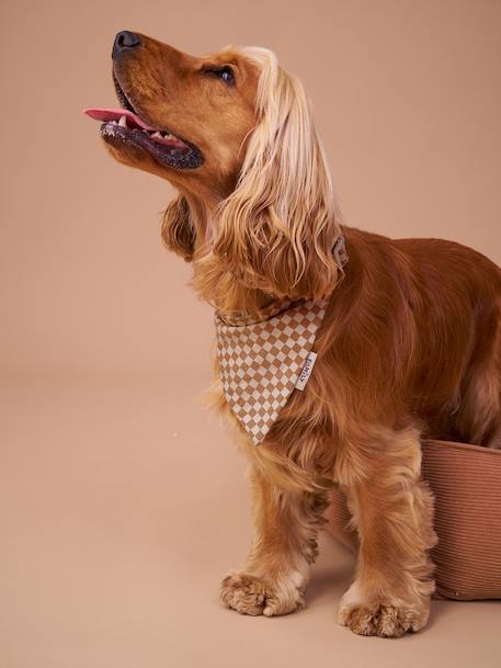 Collier bandana à damier pour chien carreaux marron - vertbaudet enfant 