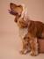 Collier bandana à damier pour chien carreaux marron - vertbaudet enfant 