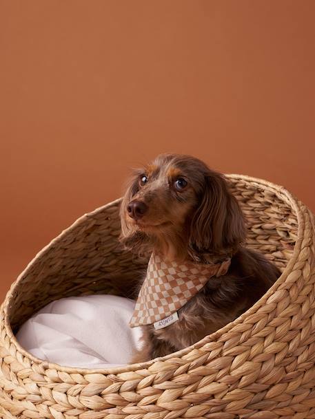 Collier bandana à damier pour chien carreaux marron - vertbaudet enfant 