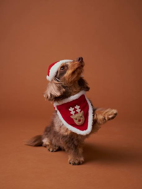 Bandanaslabbetje + kerstmuts voor de hond FAMILY rood - vertbaudet enfant 