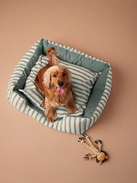 Panier en toile de coton pour chien rayé vert - vertbaudet enfant 