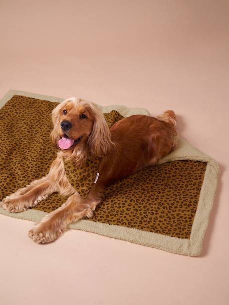 Tapis / plaid nomade pour chien marron imprimé+rayé vert - vertbaudet enfant 