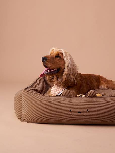 Panier matelassé en velours pour chien, disponible en 3 tailles camel - vertbaudet enfant 
