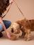 Gamelle en silicone rétractable pour chien et chat camel - vertbaudet enfant 