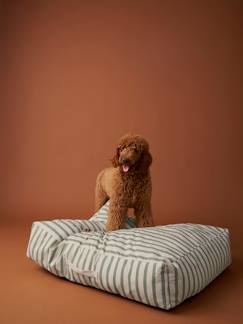 -Matelas XL pour chien