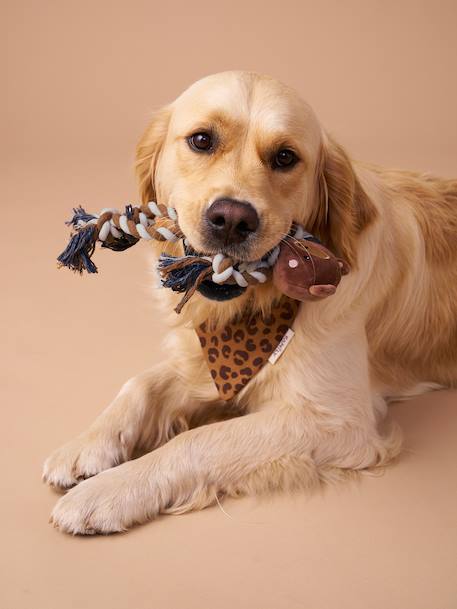 Jouet à mordiller en corde pour chien marron - vertbaudet enfant 