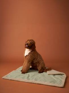 -Tapis / plaid nomade pour chien