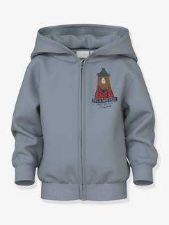 Jongens-Trui, vest, sweater-Sweater-Jongenskleding 