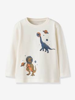 Garçon-T-shirt, polo, sous-pull-Vêtement garçon nan