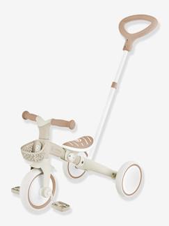 Speelgoed-Buitenspeelgoed-Loopwagen Learning Trike - Driewieler 2 in 1 - GLOBBER 