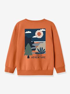 Garçon-Pull, gilet, sweat-Vêtement garçon nan