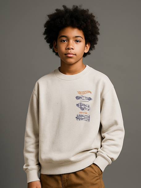 Mattel® HOT WHEELS sweater voor jongens gemêleerd beige - vertbaudet enfant 