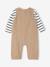 Ensemble T-shirt + combinaison rayé noix de pécan - vertbaudet enfant 