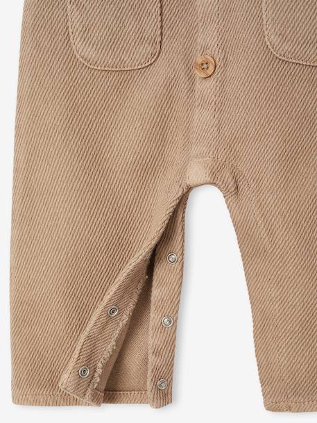 Ensemble T-shirt + combinaison rayé noix de pécan - vertbaudet enfant 