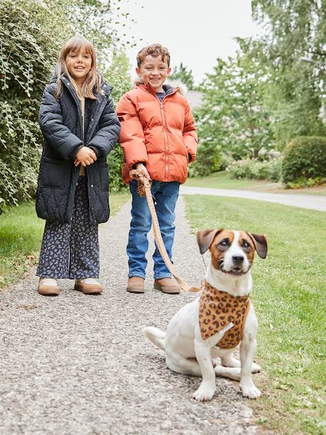 Doudoune garçon à capuche doublée polaire avec moufles ou gants ambre+vert sapin - vertbaudet enfant 
