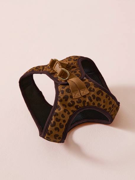 Hondenwandeling set: harnas + riem + halsband koffie - vertbaudet enfant 