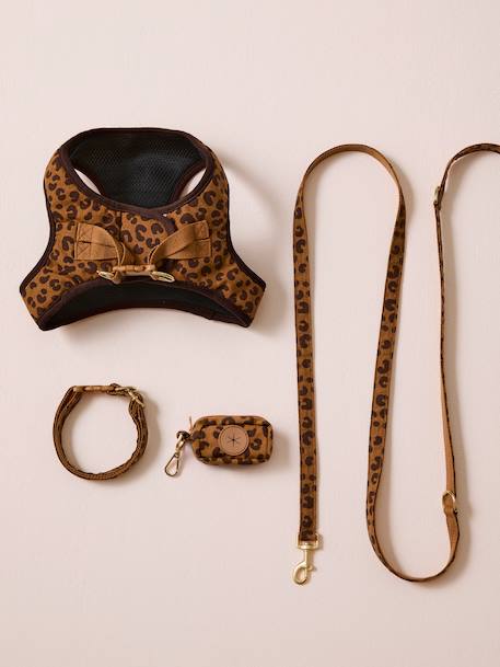 Set promenade pour chien : harnais + laisse + collier café - vertbaudet enfant 