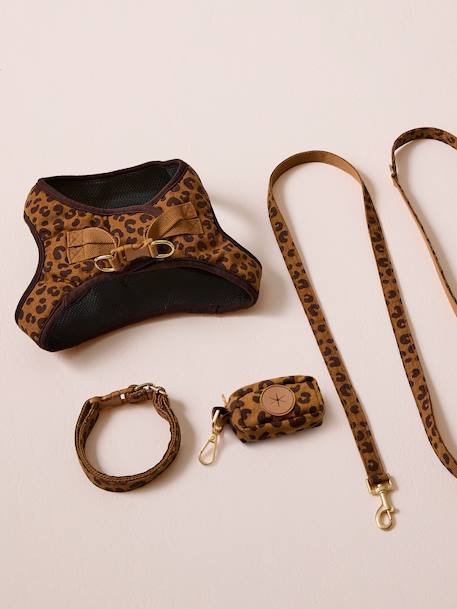 Set promenade pour chien : harnais + laisse + collier café - vertbaudet enfant 