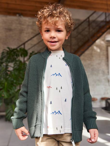 Vestje met opstaande kraag en lange mouwen voor jongens groen+marineblauw - vertbaudet enfant 