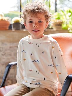 Garçon-T-shirt, polo, sous-pull-T-shirt manches longues imprimé garçon