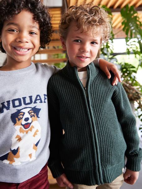 Vestje met opstaande kraag en lange mouwen voor jongens groen+marineblauw - vertbaudet enfant 