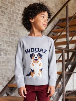 Jongens-Trui, vest, sweater-Trui met ronde hals en hond 