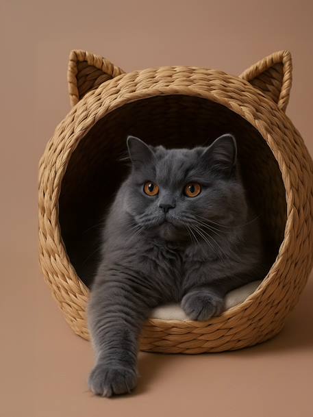 Kattenmand van waterhyacint FAMLY beige - vertbaudet enfant 