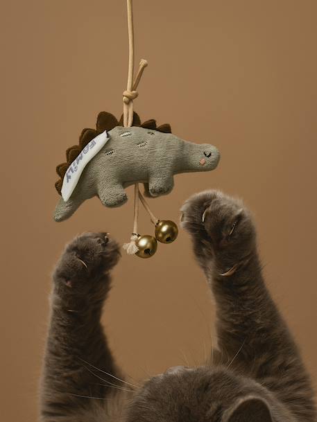 Jouet pour chat canne à pêche Dinosaures vert - vertbaudet enfant 