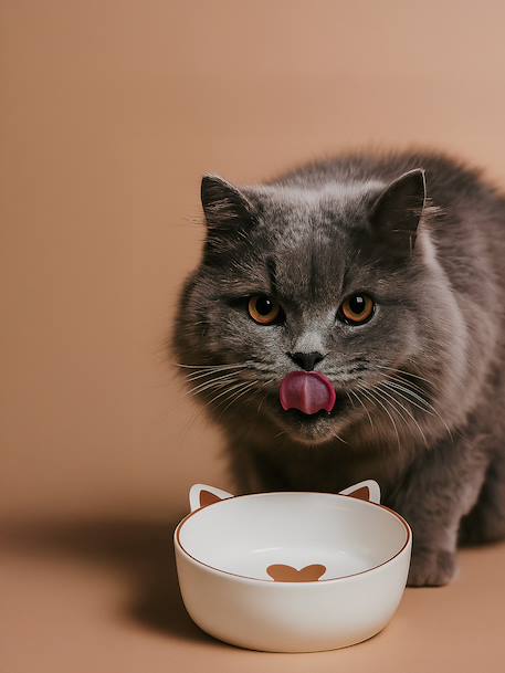 Lot de 2 gamelles pour chat en céramique blanc imprimé - vertbaudet enfant 
