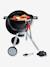 Barbecue One Touch Premium meerkleurig - vertbaudet enfant 