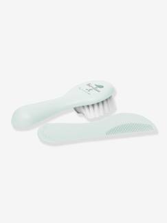 -Set peigne et brosse