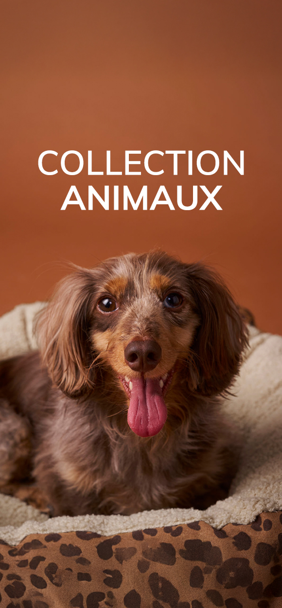 Collection animaux