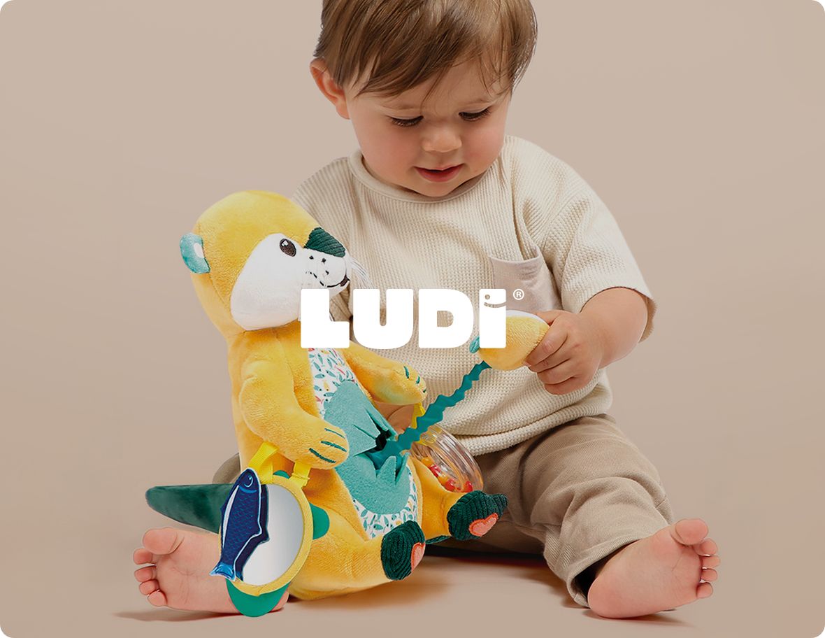 Ludi