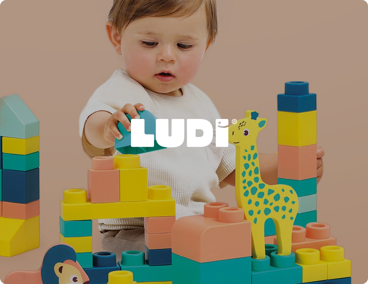 Ludi